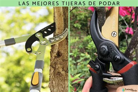 Ilustración de diversas herramientas de poda (tijeras, serrucho, tijeras telescópicas)