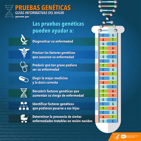 infografía explicando la importancia de las pruebas genéticas para la enfermedad celíaca