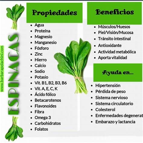infografía detallando los nutrientes de las espinacas