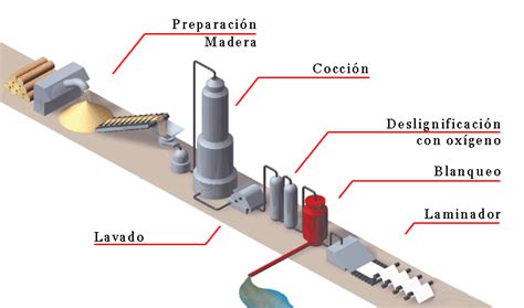 proceso de blanqueo de espinacas en agua caliente
