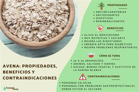 Infografía: Beneficios nutricionales de la avena y las semillas