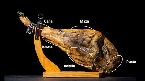 Diagrama de las partes principales de una pata de jamón