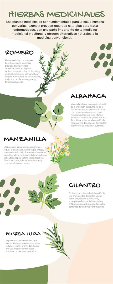 Infografía: Plantas medicinales para el sueño y la relajación