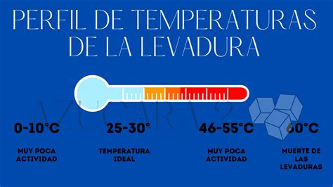 Gráfico de temperatura ideal para la fermentación de levaduras (rango de 20°C a 32°C)