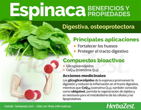 Infografía: Beneficios nutricionales de las espinacas y su composición