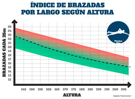 Gráficos de número de brazadas óptimo por largo en función de la altura del nadador