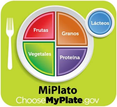 Infografía del modelo nutricional MiPlato