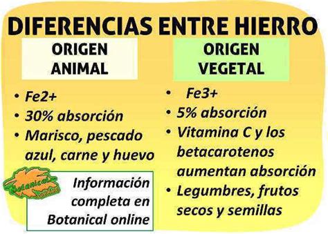 Tabla comparativa de fuentes de hierro de origen animal y vegetal