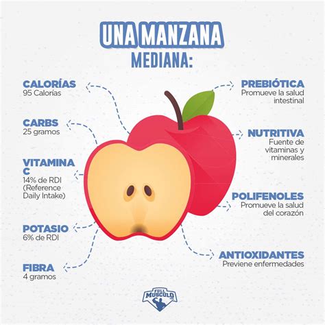 Infografía sobre los nutrientes clave de la manzana y la zanahoria