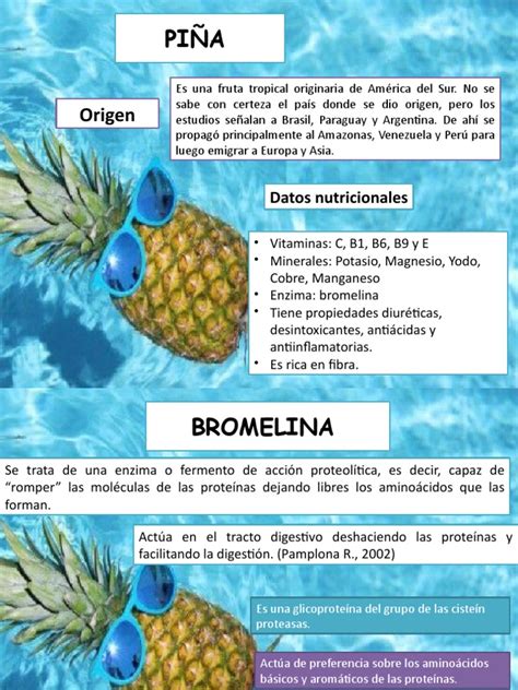 Infografía mostrando la enzima bromelina en la piña y cómo ayuda a descomponer proteínas en el sistema digestivo