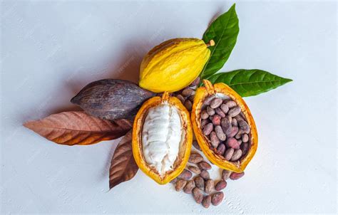Foto de granos y vainas de cacao