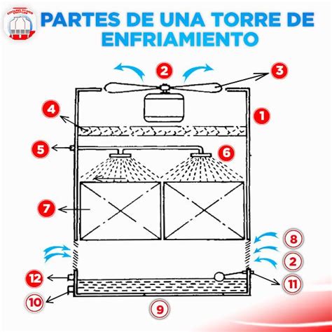 Esquema de las partes de una torta: bizcocho, capa de relleno y cobertura exterior