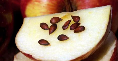 Manzana cortada mostrando las semillas en el centro