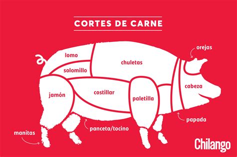 Esquema de los cortes del cerdo, señalando el lomo y el solomillo