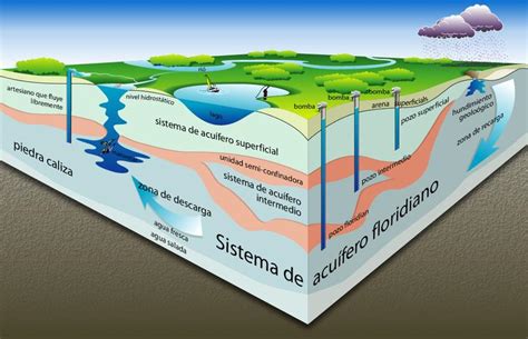Esquema de un acuífero subterráneo mostrando sus capas y el movimiento del agua