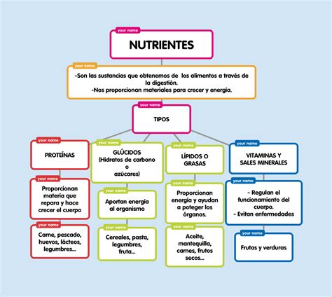 Esquema de los principales nutrientes aportados por la carne