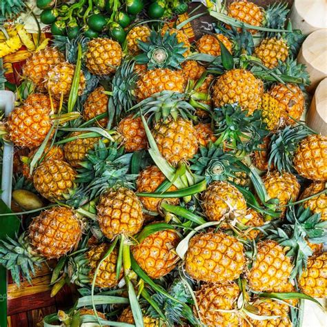 Foto de piñas frescas y cocos en un ambiente tropical