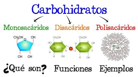 Esquema de la estructura química de un carbohidrato