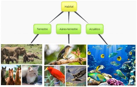 mapa del mundo con diferentes animales según su hábitat