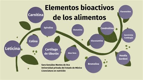 esquema de los principales componentes bioactivos en hojas de manzano