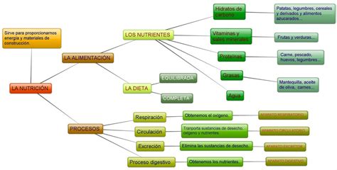 esquema de nutrición post-entrenamiento: relación 2 partes de carbohidratos por 1 de proteína
