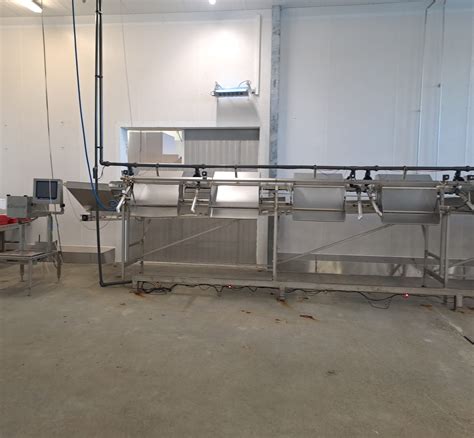 Esquema del sistema de inspección IRIS FI de Marel en una línea de procesamiento de aves