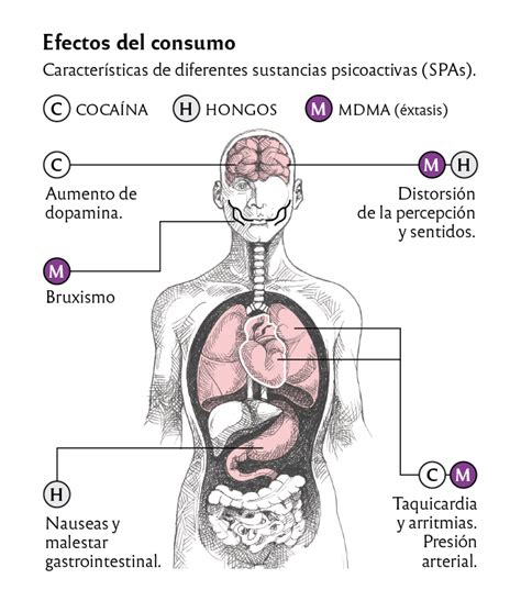 Representación de los riesgos para la salud asociados al consumo excesivo de mayonesa
