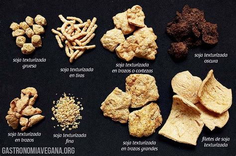 Imagen de los diferentes tipos de soja texturizada deshidratada (fina, gruesa, tiras, filetes)