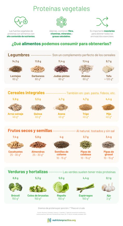 Infografía comparativa: perfil nutricional de proteínas vegetales frente a proteínas de origen animal (biodisponibilidad y aminoácidos)
