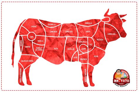 Esquema anatómico de la res mostrando la ubicación de la falda y el corte transversal para obtener el churrasco