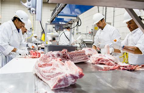 Selección de materia prima cárnica de cerdo