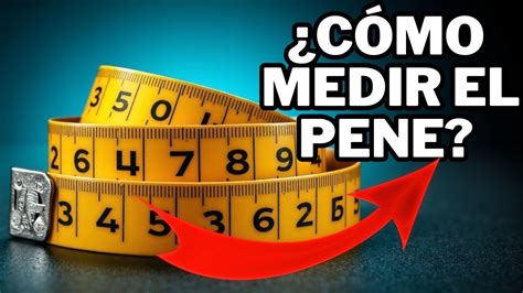 Infografía: Medición correcta del pene estirado en niños y rangos normales