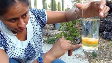 Esquema sobre la interpretación de estados del huevo: de la fragilidad al éxito