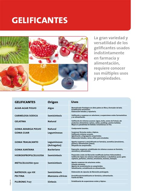 Esquema que muestra la clasificación de gelificantes: origen animal (colágeno) frente a origen vegetal (algas, frutas, gomas).
