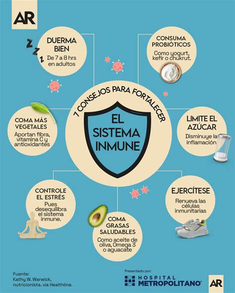 Esquema visual de los beneficios en la salud: fortalecimiento del sistema inmune, salud capilar y mejora digestiva.