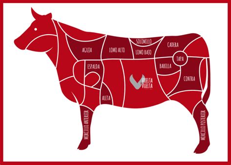 infografía mostrando los cortes de ternera recomendados para guisar