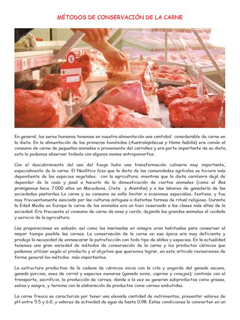 Esquema de las etapas de conservación de carne desde la compra hasta la congelación