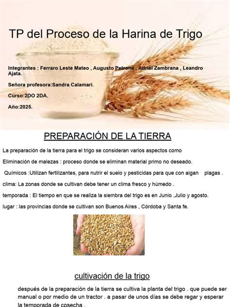 Ilustración del proceso de preparación de harina de leguminosas
