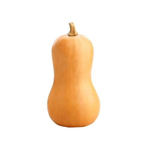 Zapallo butternut y mote cocido en un recipiente