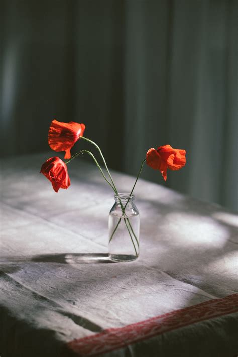 Fotografía artística de alta calidad que muestra una presentación elegante y sugerente de un helado artesanal con texturas brillantes.