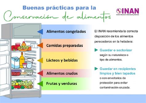 Interior de un refrigerador mostrando la correcta disposición de alimentos perecederos en la parte más fría.