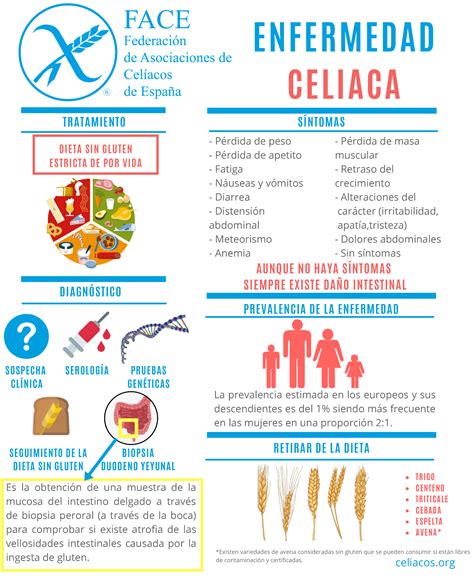 Infografía comparativa sobre la Enfermedad Celíaca, Sensibilidad al Gluten y Alergia al Trigo