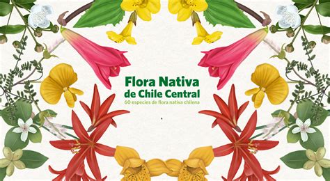 Paisaje chileno con flora nativa