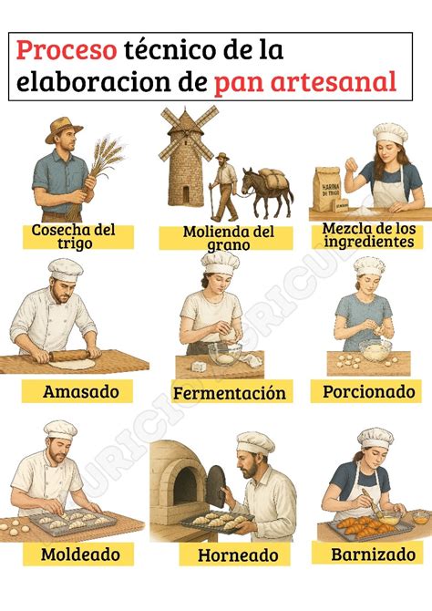 infografía mostrando el proceso paso a paso desde el horneado hasta la decoración final de una torta