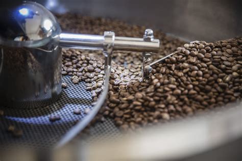 Tostador de café en funcionamiento, mostrando el proceso de tueste y sus componentes