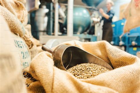 Equipo de tostaduría de café de segunda mano, siendo inspeccionado antes de la compra