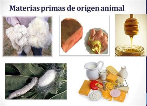 Fotografía de materias primas para la gelatina: pieles y huesos de animales
