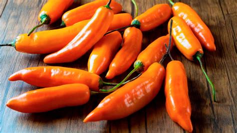 Foto de ajíes amarillos frescos, ingrediente clave de la huancaína.