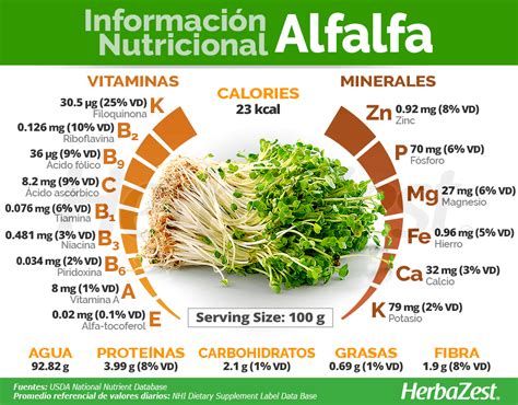 Tabla nutricional o infografía de beneficios de la alfalfa