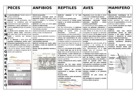 Infografía comparando la anatomía digestiva de mamíferos y reptiles
